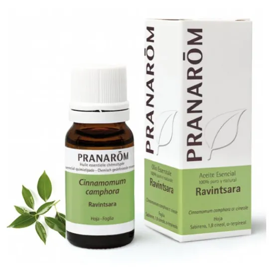 Pranarôm essential oil Ravintsara QT cineol 10ml