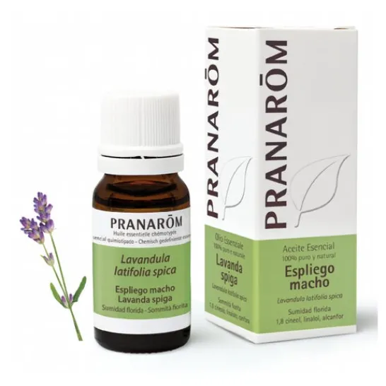 Pranarôm Male Lavender Essential Oil 10ml