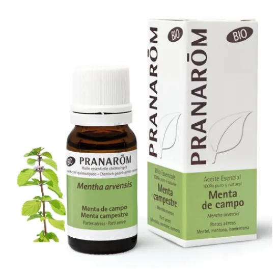 Pranarôm PranarÌm organic peppermint essential oil 10ml